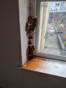 dry rot on window frame