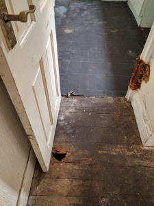 dry rot on door frame